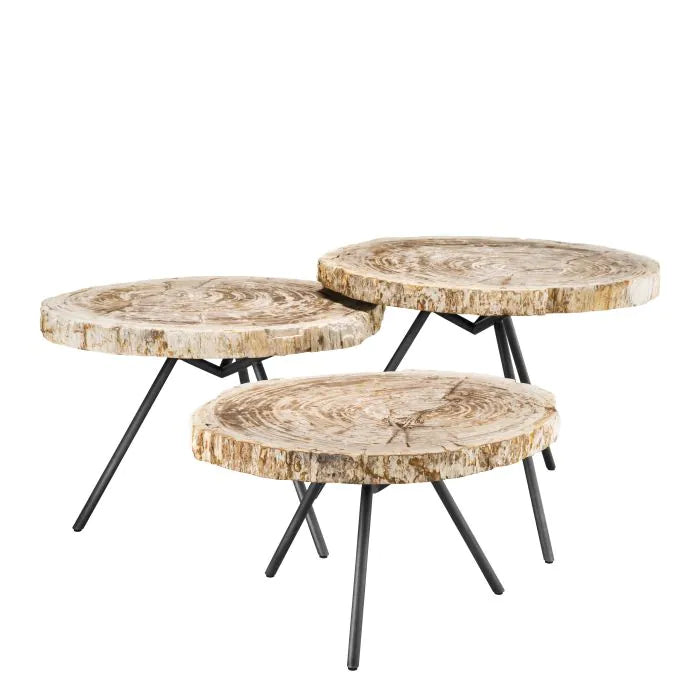 Coffee Table De Soto Set of 3