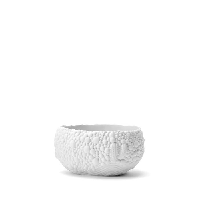 Haas Mojave Desert Bowl - White