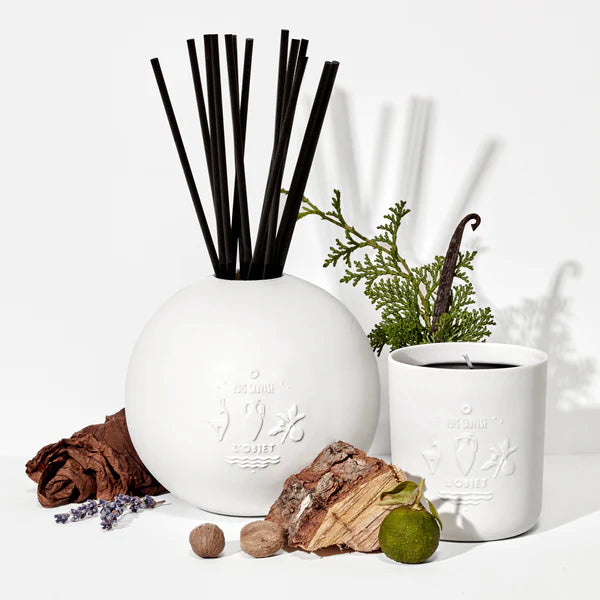 Bois Sauvage Porcelain Diffuser Set