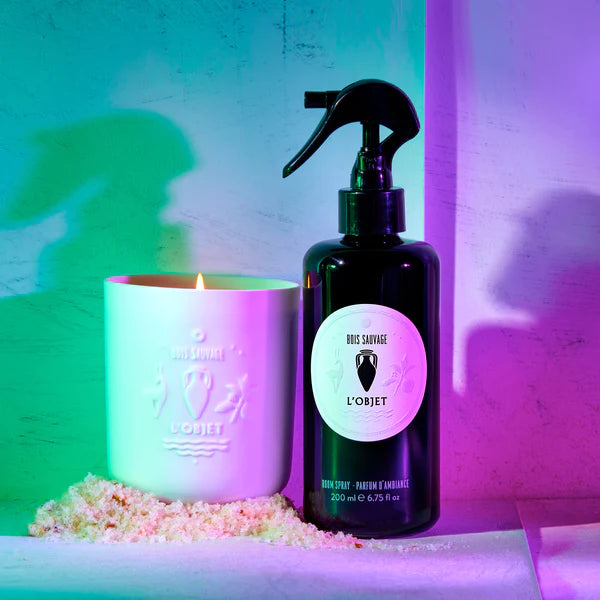 Bois Sauvage Room Spray + Candle Gift Set